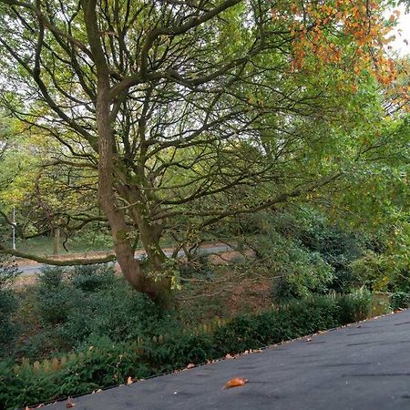Luxury Coach House Next To Woodland In Knutsfordヴィラ エクステリア 写真